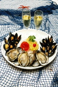 DONDE ESTA EL AMPOSTA  AQUI O AQUI?????DONDE ESTA EN EL AMPOSTAAAAAAAAA??????