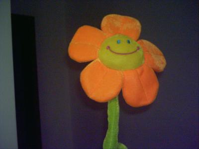 2A DIVISI&Oacute;N s&oacute;lo puede ser "Una elecci&oacute;n com&uacute;n"